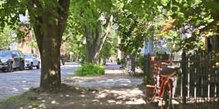 396 E Mithoff Street Gallery 48