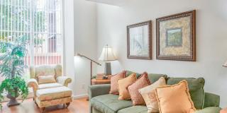 South Oaks Gallery 7