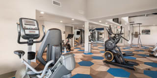 Avana Cordoba Gallery 24