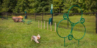 Jefferson Arbors at Broadlands Gallery 14