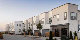 Cyrene at Meadowlands Gallery 5