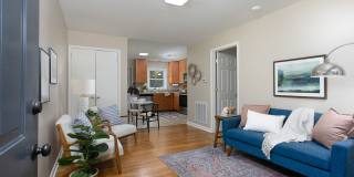 Spacious 1 Bedroom Duplex close to UNC Campus - Updated, Pet Friendly, Private Wooded Lot! Gallery 1