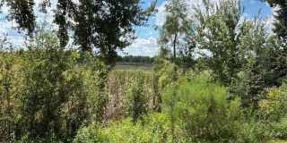 3123 SUN LAKE COURT Gallery 31