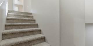 7135 Elder Street Gallery 24