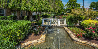 Deertree Gallery 19