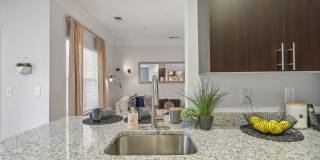 The Lincoln At Fair Oaks Gallery 6