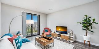 Pines Garden at City Center Gallery 6