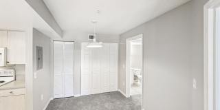 Coral Cove Gallery 20