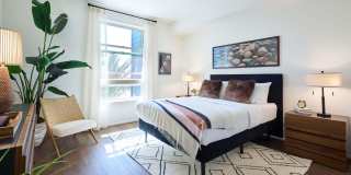 The Willows Gallery 45