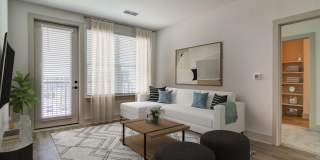 Solis Gainesville Gallery 41