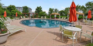 24673 NETTLE MILL Square Gallery 45