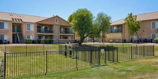 Desert Oasis Gallery 18