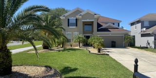 3301 Turkey Creek Drive Gallery 1