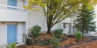 Peaks on Pines Gallery 18