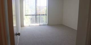 Hillside Terrace Gallery 113