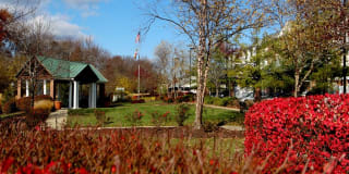 Senior Housing - Kentlands Manor Senior Apartments Gallery 1
