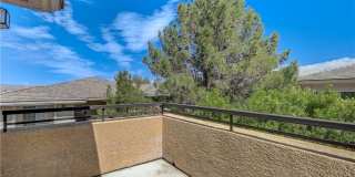 804 Peachy Canyon Cir. Gallery 36