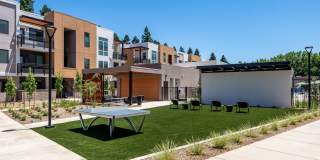 Sutter Green II Gallery 24