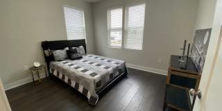 The Bungalows on the Lake - The View Gallery 100
