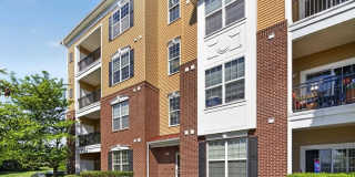 1447 SIERRA Gallery 1