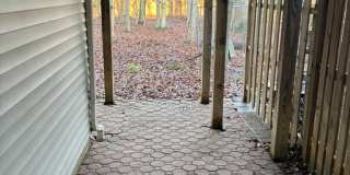 8002 BULLFINCH Place Gallery 4