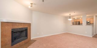Peloton Apartments Gallery 10