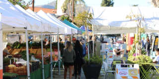 3535 Ellsworth Street Apartments Gallery 53