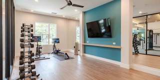 Alta Trilogy Gallery 14