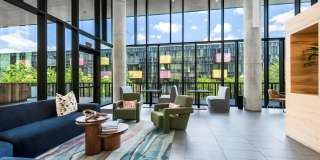 Lamar Union Gallery 49