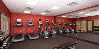 The Elysian Gallery 89