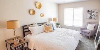 Z53 Apartments Gallery 2