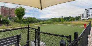 One41 Wellington Gallery 14