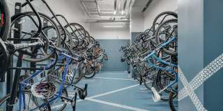 The Shale Gallery 21