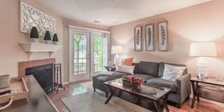 Steeplechase Gallery 9