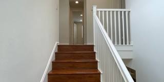 The Christopher Collection: 4 Bedroom 3 Bath Home, Gallery 25