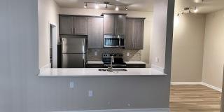 TGM Ocotillo Bay Gallery 1