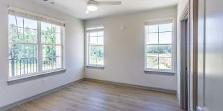 The Belle at the Lamar Gallery 46