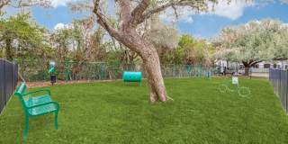 Sycamore Springs Gallery 25