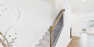 2709 Chert Lane Gallery 33