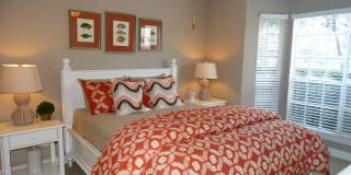 Campeche Cove Gallery 7
