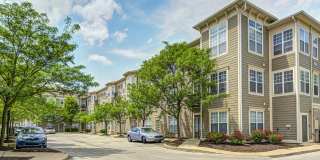 The Waverley Gallery 20