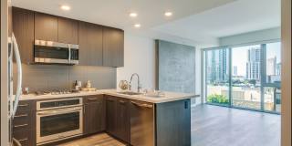 The Merian Gallery 45