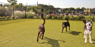 Saratoga Square Gallery 17