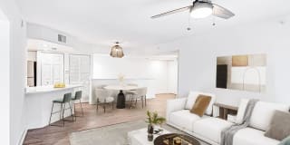 Palm Trace Landings Gallery 49