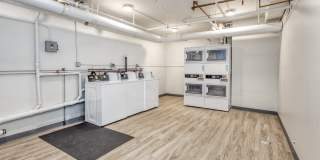 The Profile Gallery 6