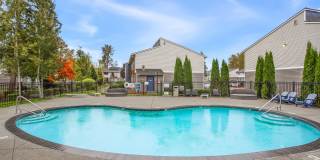 Driftwood Gallery 16