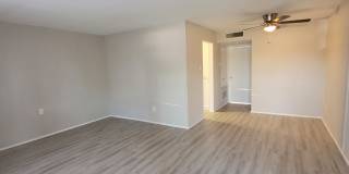 Jade Forest Gallery 1