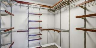 Gorgeous 4-Bedroom Single-Family Home with Pool in Summerfield Gallery 16