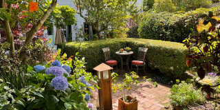 2937 Scott Gallery 30