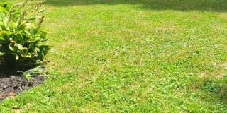 3 Bd 1.5 Ba with 4 acres. Gallery 1